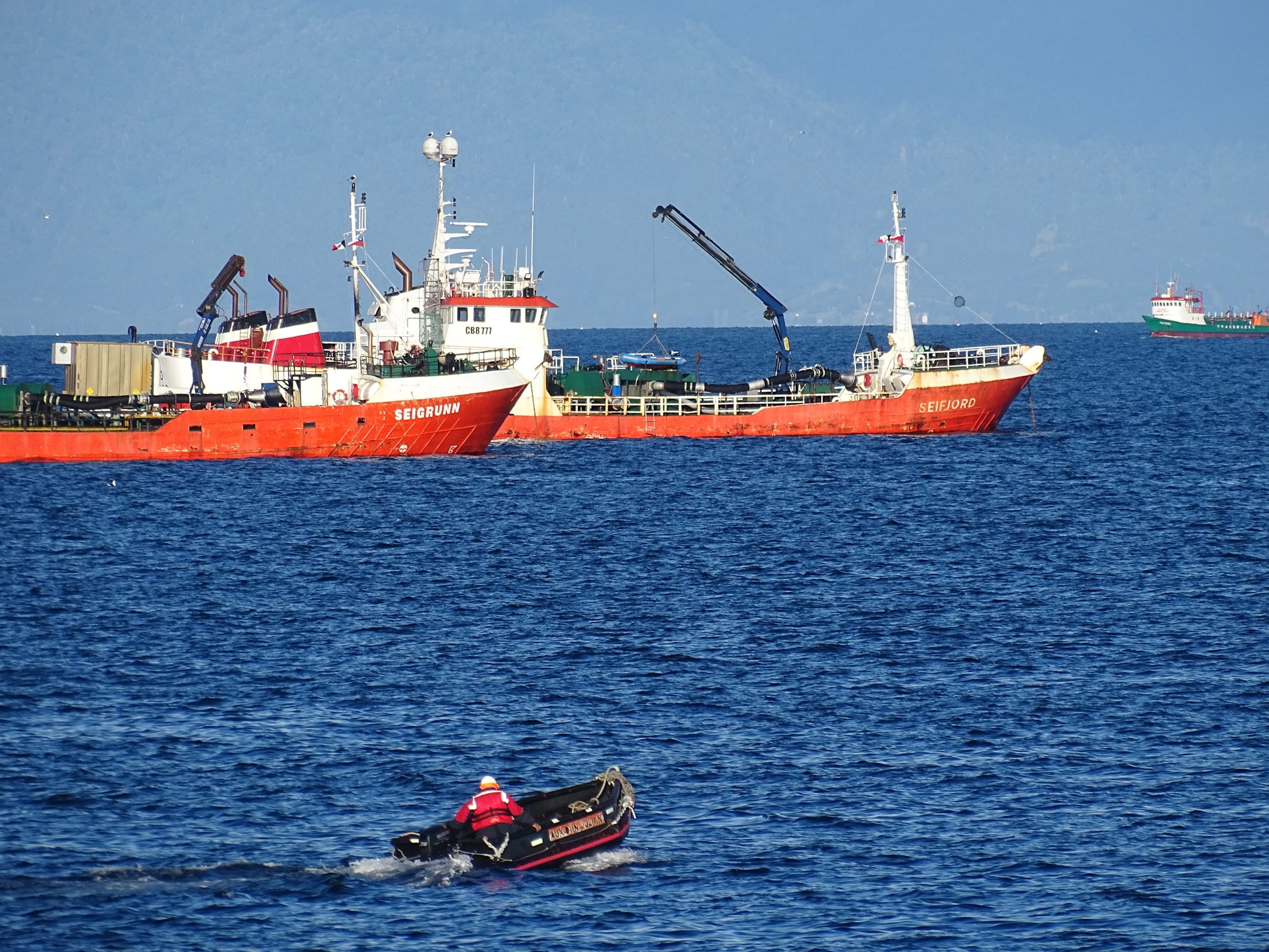 La salmonicultura representa casi el 84% de las exportaciones totales de la región de Los Lagos