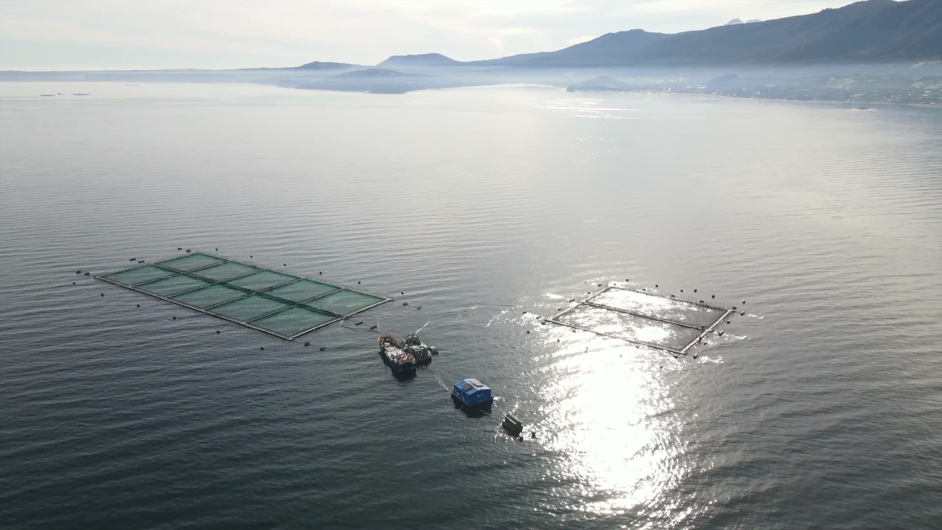 [+VIDEO] El día para conmemorar la importancia de la acuicultura en el mundo