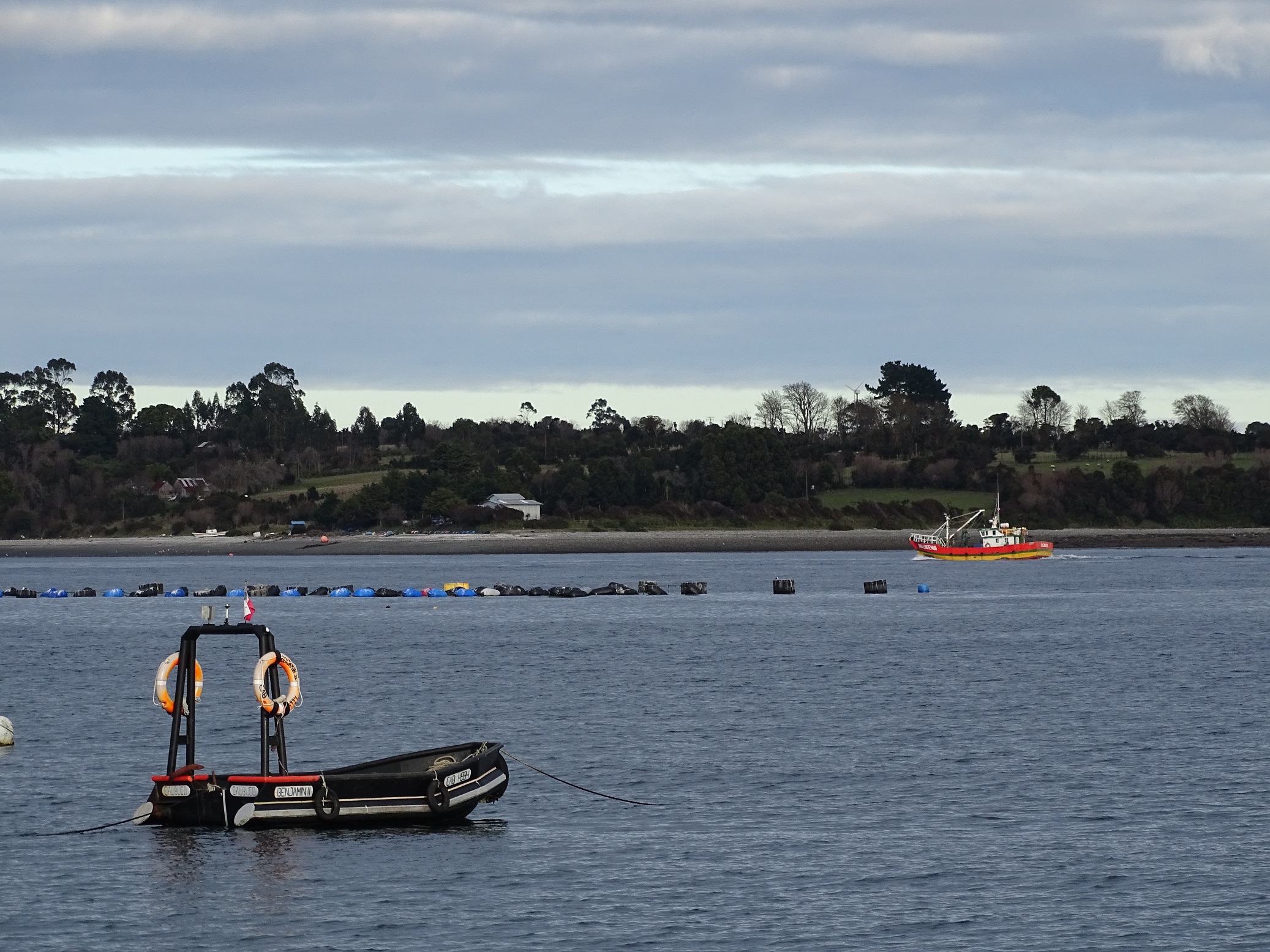 Llaman a responder encuesta sobre ley mitilicultora