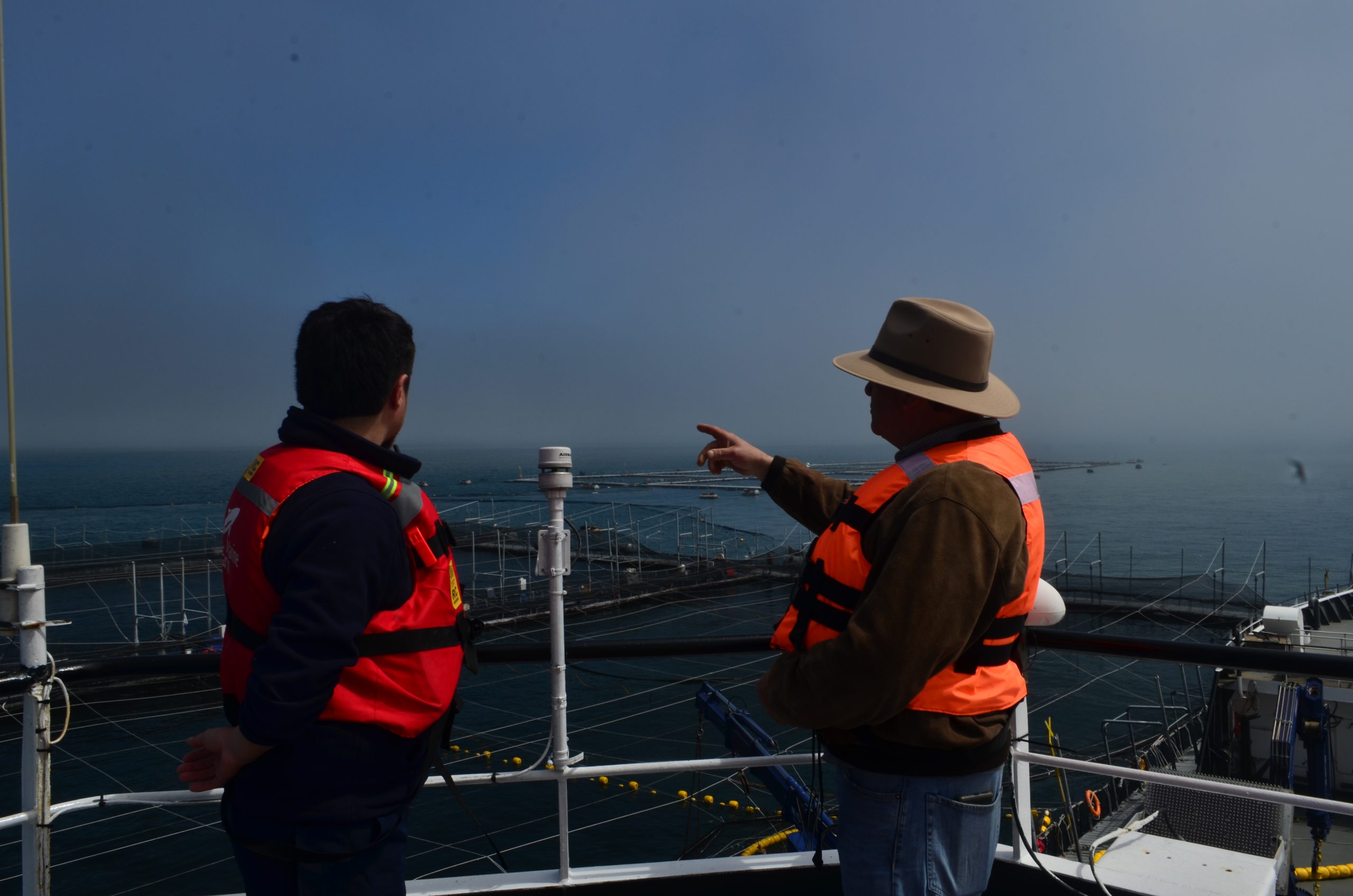 Impulsan nuevos negocios en salmonicultura