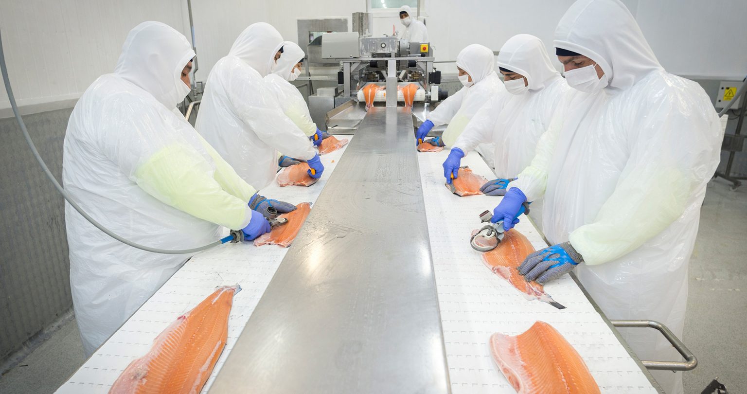 2022 y 2023: Publican el detalle de las exportaciones de salmón chileno