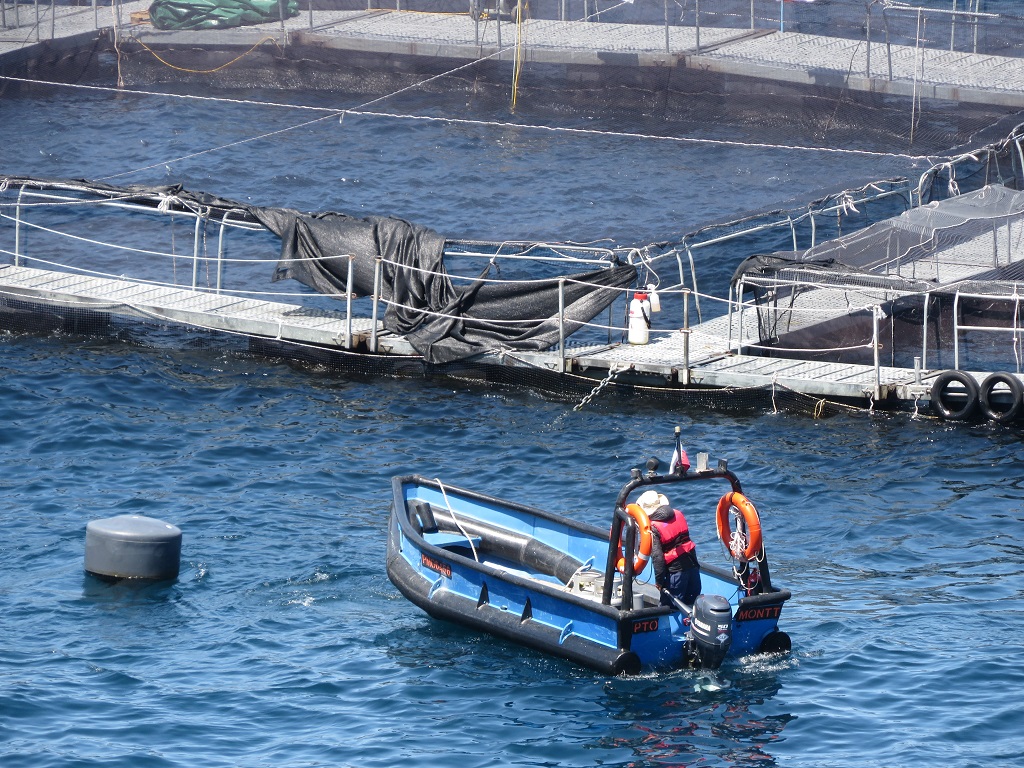 Camanchaca pone a disposición sus memorias integradas 2023