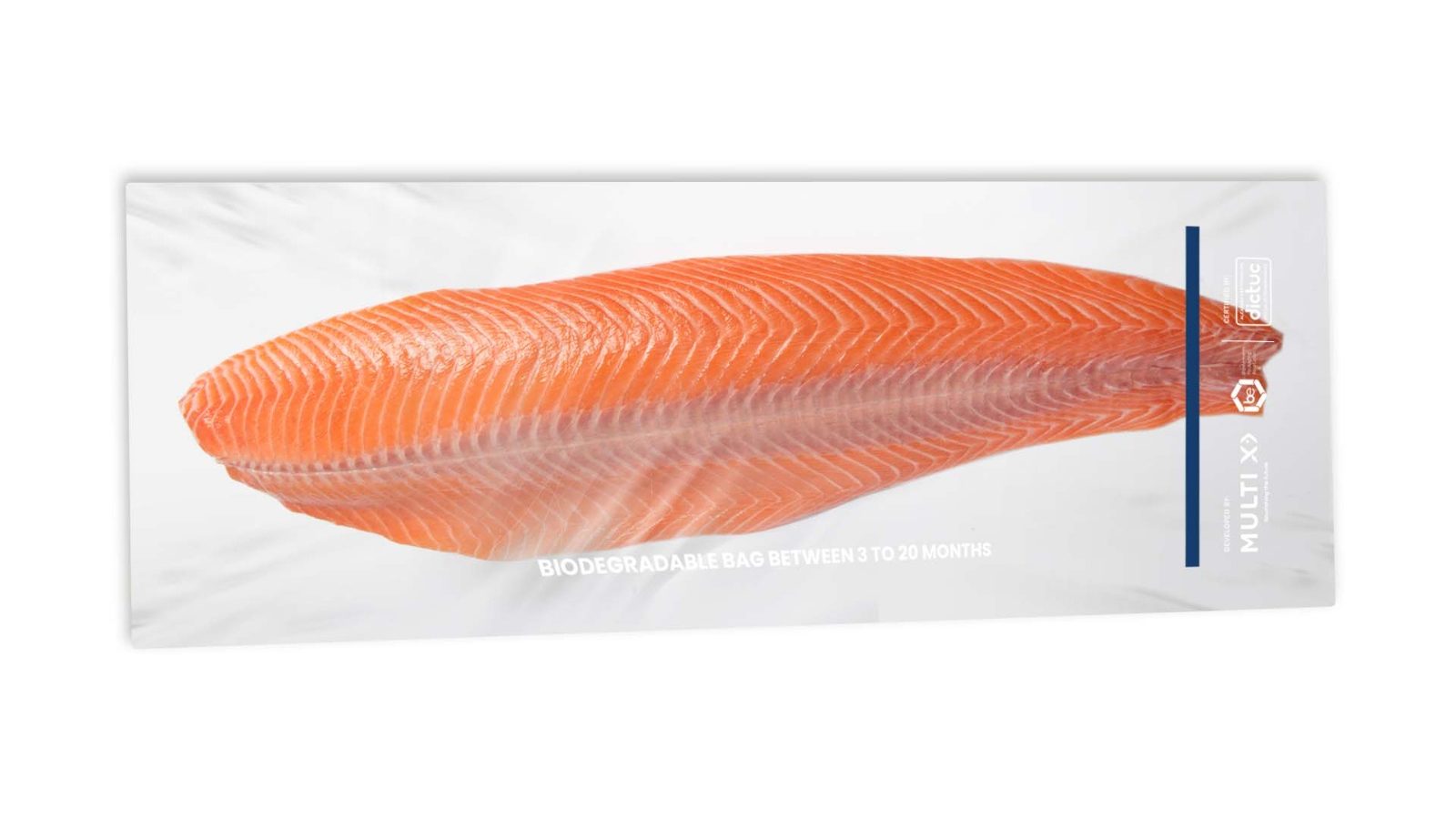 Salmonicultora cambiará sus empaques de filete fresco por materiales biodegradables