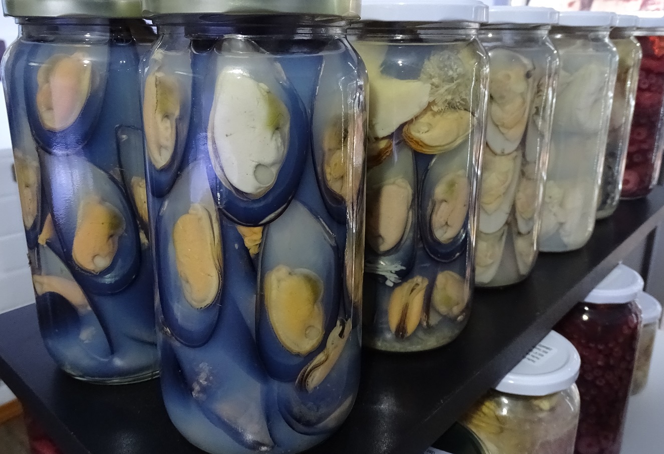 Choritos chilenos consolidan liderazgo global y logran récord histórico de exportaciones en junio