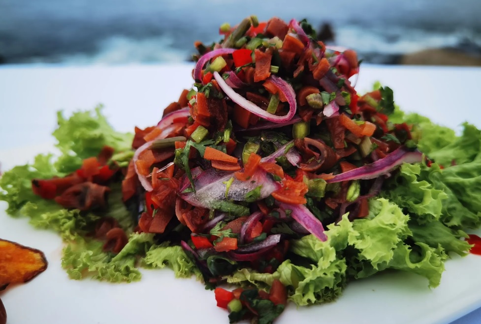 Investigadora busca profundizar estudios sobre las propiedades del cochayuyo