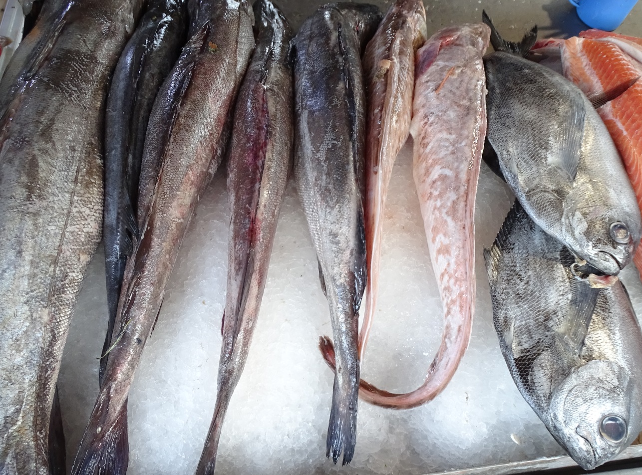 Estudio revela preferencias en el consumo de productos del mar en Chile