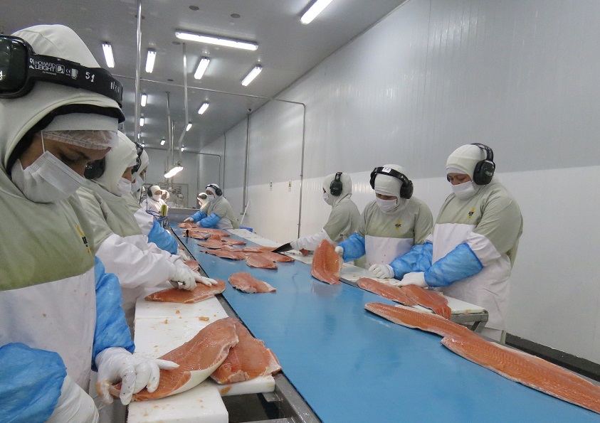 Capacitan a exportadores de productos del mar para facilitar cumplimiento normativo internacional