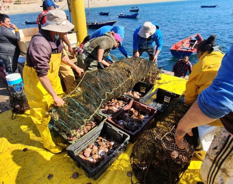 Por primera vez: Acuicultores de pequeña escala estarán en importante feria