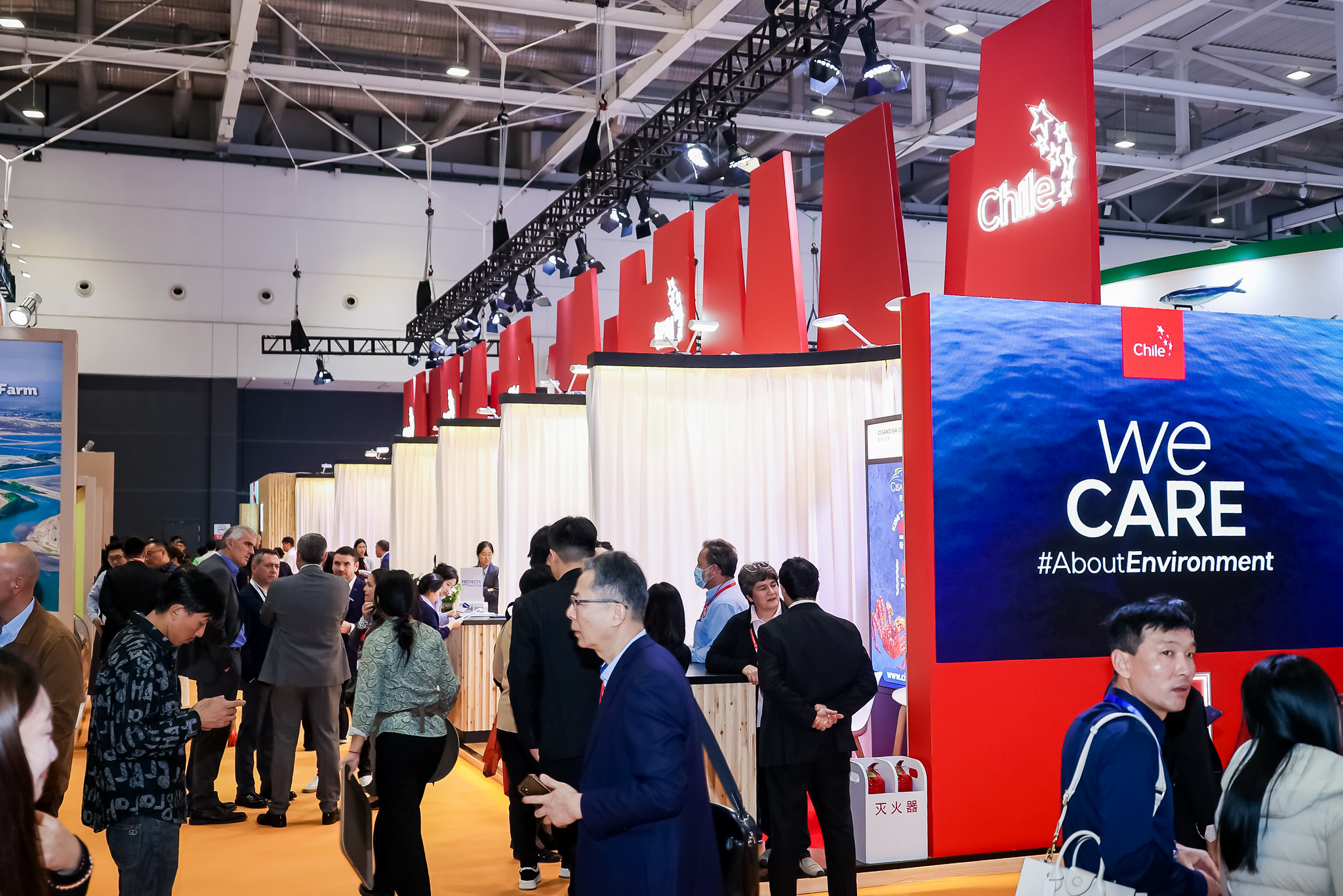 Potencian oportunidades de productos chilenos del mar en China