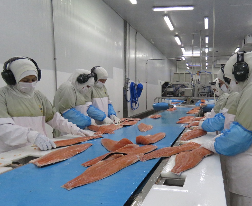 Región de Los Lagos albergará el mayor encuentro exportador de productos del mar