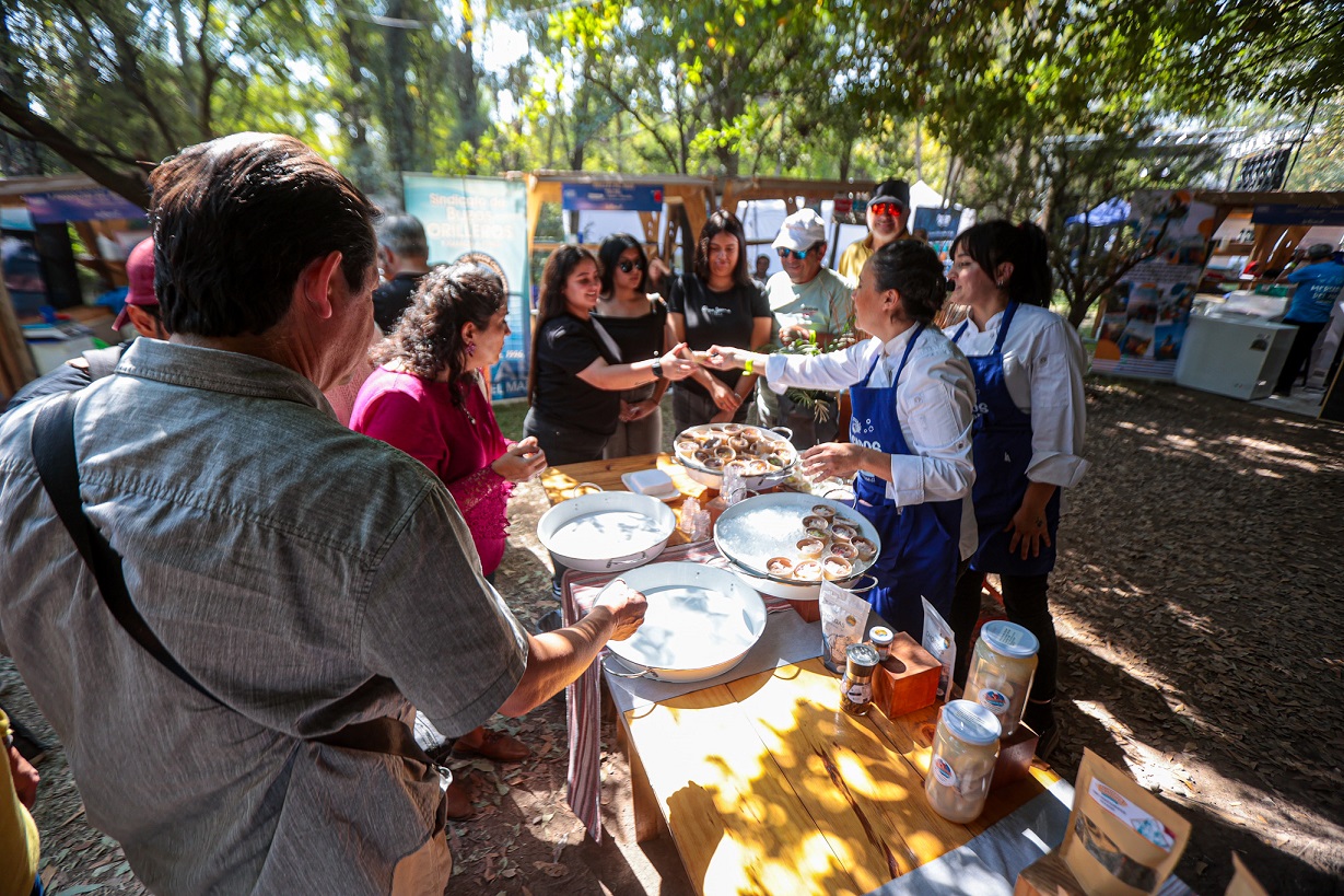 Productos del mar de la región de Los Lagos deslumbraron en festival gastronómico latinoamericano