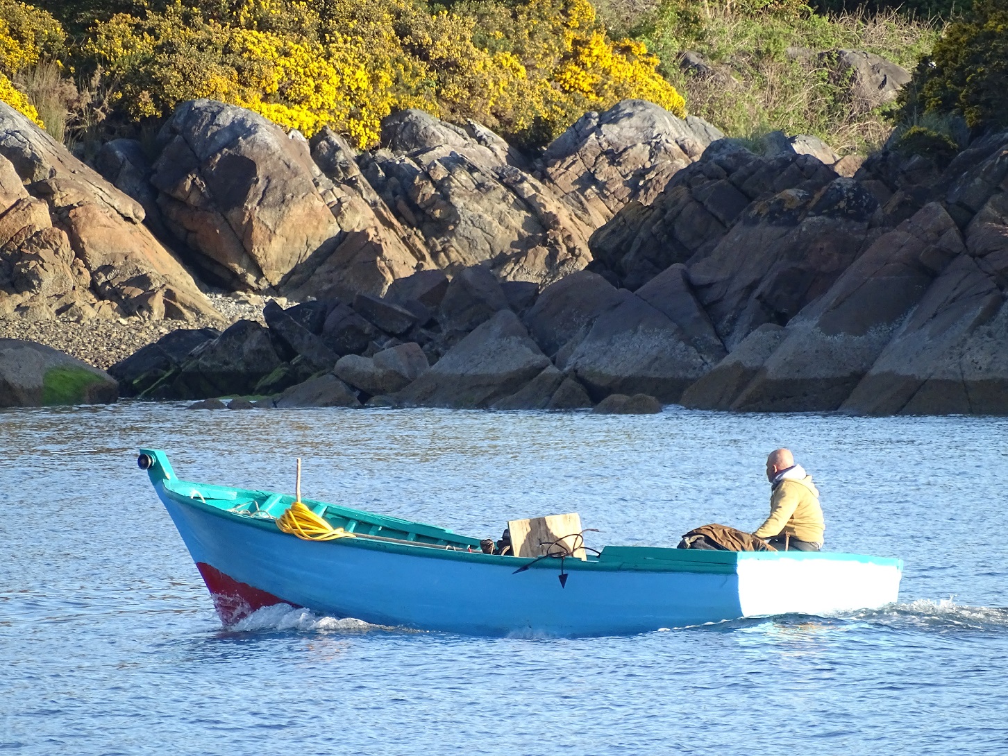 Herramienta digital busca fortalecer fiscalización de pescados y mariscos de cara a Semana Santa