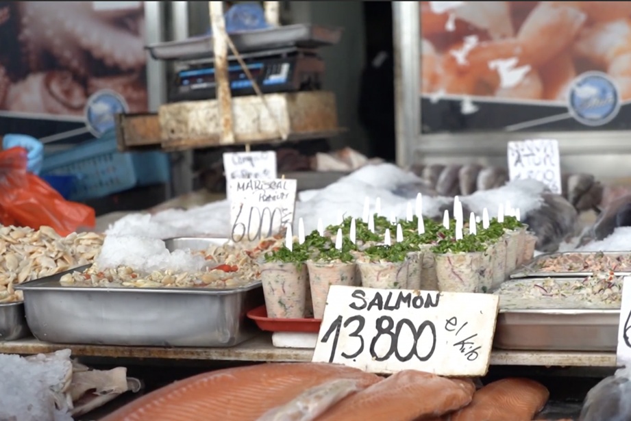 Estudio UdeC aborda riesgos de zoonosis de origen marino y promueve estrategias de prevención